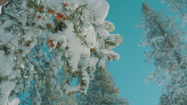 Христианское пение