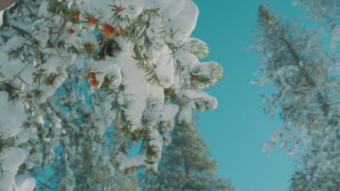 Христианское пение