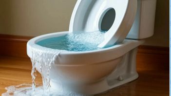 5🚽 Зачем проворачивать механизм слива запорной арматуры вокруг оси?