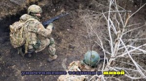 ВСУ потеряли от действий группировки войск «Север» до 160 военных