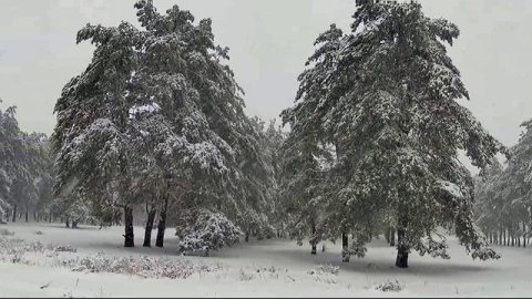 Рустам Батербиев - Падал белый снег