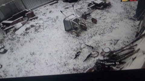 Сегодня луковая подкормка ПОДПИШИСЬ