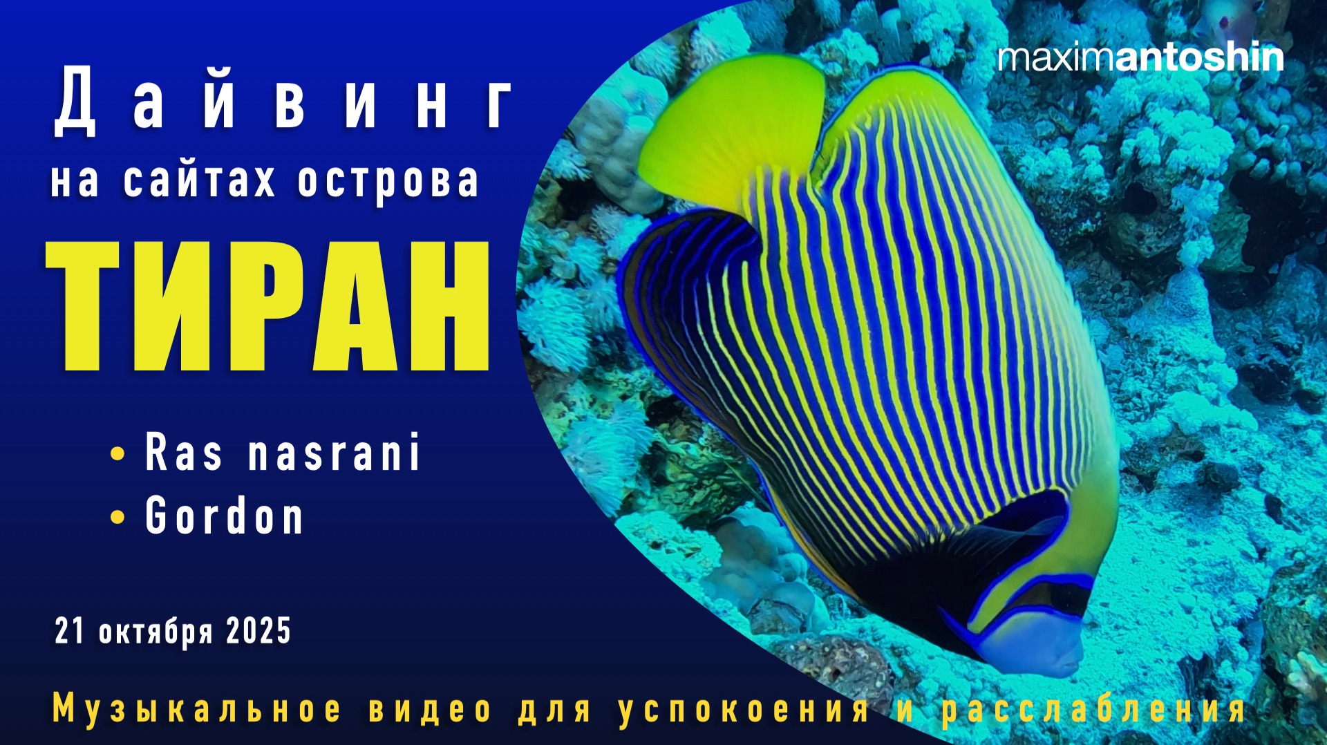 Дайвинг на сайтах острова Тиран. Ras Nasrani. Gordon. 21 октября 2025 года. Музыкальное видео