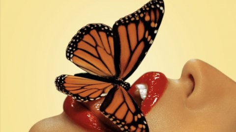 Eastbound Expressway ~ Frantic Love {12''}