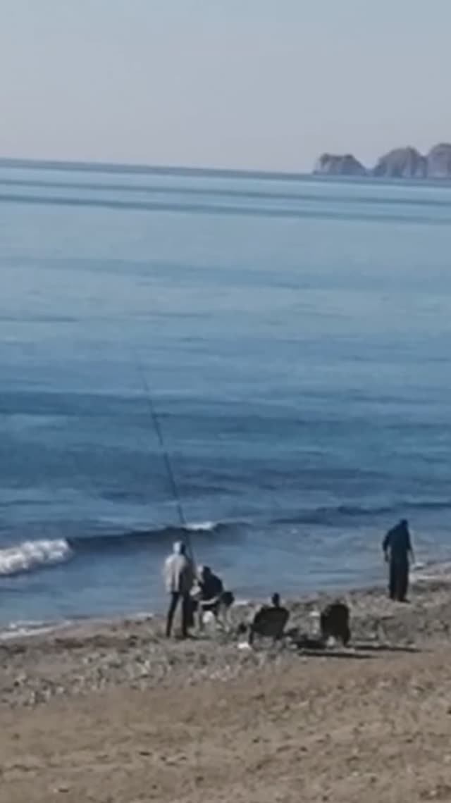 13 декабря НА МОРЕ. ТУРЦИЯ 2025. #türkiye2025 #alanya #mahmutlar