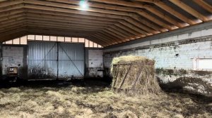 Продали двух молочных нетелей!Привезли еще пять Герефордов! История о появлении 150 индюков на ферме