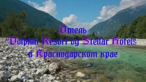 Отель «Dolphin Resort by Stellar Hotels» в Краснодарском крае