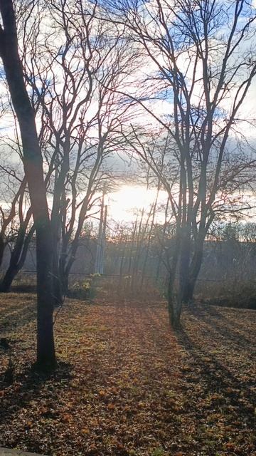 13-12-2025 Метаморфозы Погоды: из лета в зиму за один день