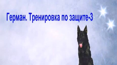 Герман , тренинг с А.Здоровцевым 02.14