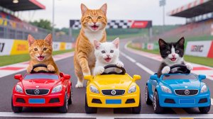 😹Мама кошечка и её маленькие котятки катаются на машинках🔥
