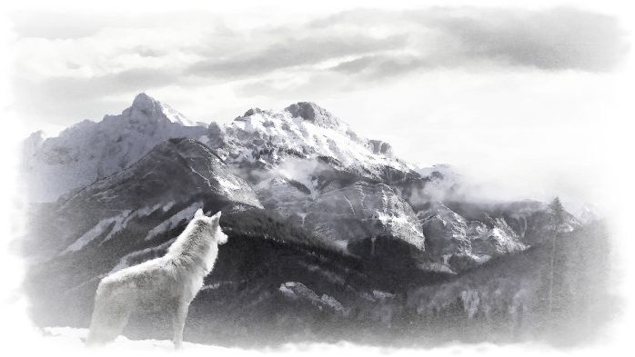 Нельзя объяснить вкус соли тому кто её не пробовалОлег Юргаев и ИИ (1)