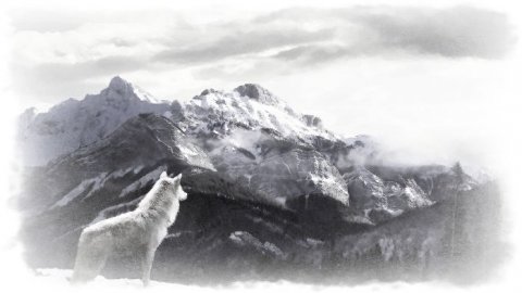 Нельзя объяснить вкус соли тому кто её не пробовалОлег Юргаев и ИИ (1)