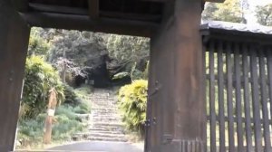 Гитарная музыка８２ @TheLonelyBand