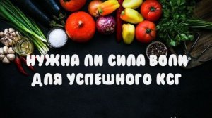Нужна ли сила воли для успешного КСГ