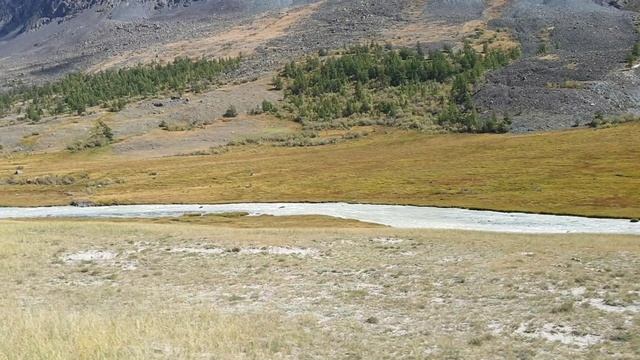 Алтай - Монголия 2024. Кош-Агач. Урочище Шалтра и озеро Аккуль