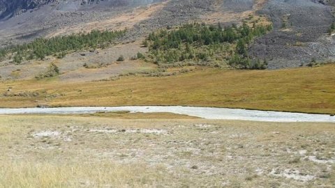 Алтай - Монголия 2024. Кош-Агач. Урочище Шалтра и озеро Аккуль