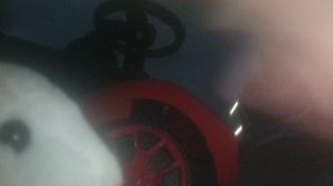 едем к тигру #1