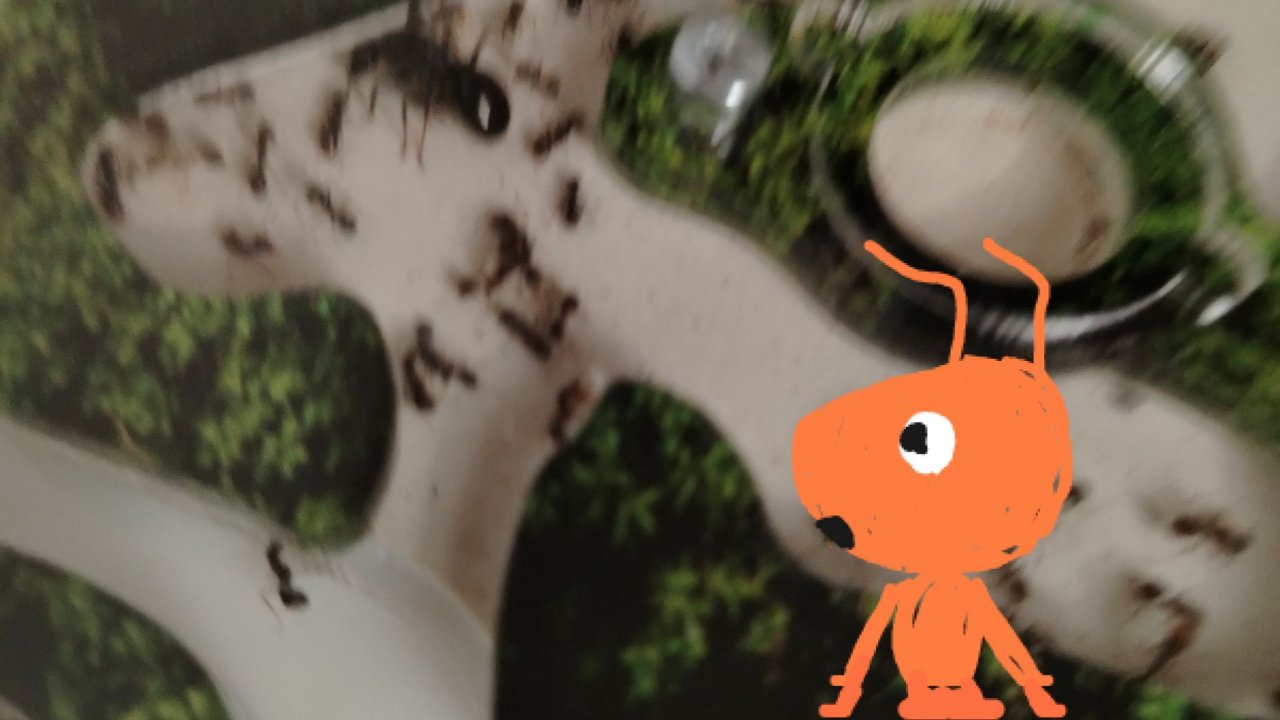 Уборка у муравьев! 🧹🐜 Сделала зимний декор! ❄️☃️Мои муравьи!