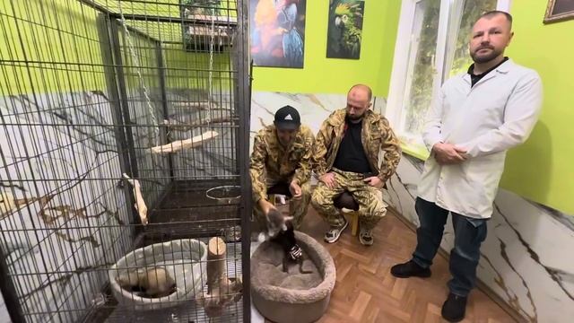 Мы не могли пройти мимо умирающей от тоски Ларисы, теперь у нас НОВЫЙ ПИТОМЕЦ