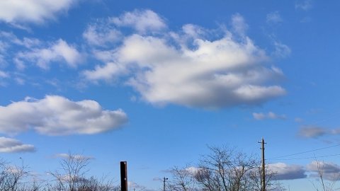 Купили зерна и домашней молочки. Десерт. Жизнь станичная на пенсии.
