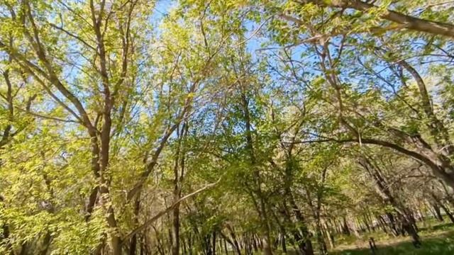 Отец и мачеха,пытались выгнать меня из моего дома,который оставила мама.☹️😑🫤