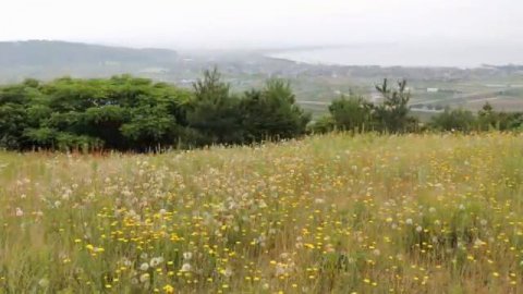 Гитарная музыка58@TheLonelyBand