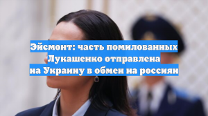 Эйсмонт: часть помилованных Лукашенко отправлена на Украину в обмен на россиян