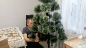 УСТАНАВЛИВАЕМ ËЛКУ. 13 ДЕКАБРЯ.