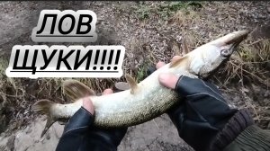 ЛАЙТОВАЯ РЫБАЛКА НА ЩУКУ ЛОВЛЯ ДЖИГОМ/НАХОДКИ НА РЕЧКЕ