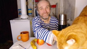 завтрак. дал Рыжуле сухой корм вместо влажного. мукбанг. обжор. еда на камеру. диета. шизофрения.