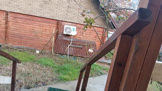 СОЧИ ГОРНОЕ ЛОО ВЕЧЕР 13.12.2025