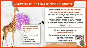 Многообразие и значение растений, животных, грибов