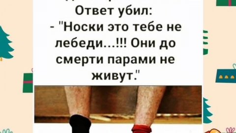 Анекдоты, юмор, статусы, приколы 😁