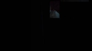 Наш Садовый центр Родионовых на декабрь 2025