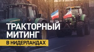 Голландские фермеры протестуют против ужесточения экологических норм