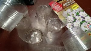 ЭУСТОМА ВЗОШЛА.