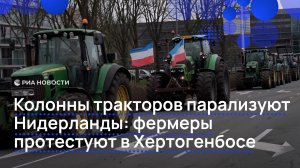 Колонны тракторов парализуют Нидерланды: фермеры протестуют в Хертогенбосе