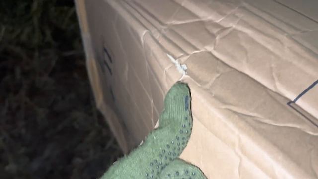 Управляемся на хозяйстве! Новости Молодой фермы