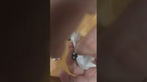 самолет из пластилина