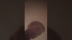 Играю на стриме