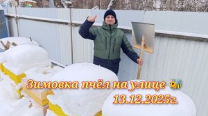 Зимовка пчёл на улице.Осмотр.13.12.2025г.