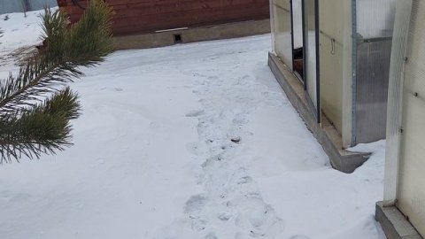 Zota Стаханов / Купили буртуйский уголь