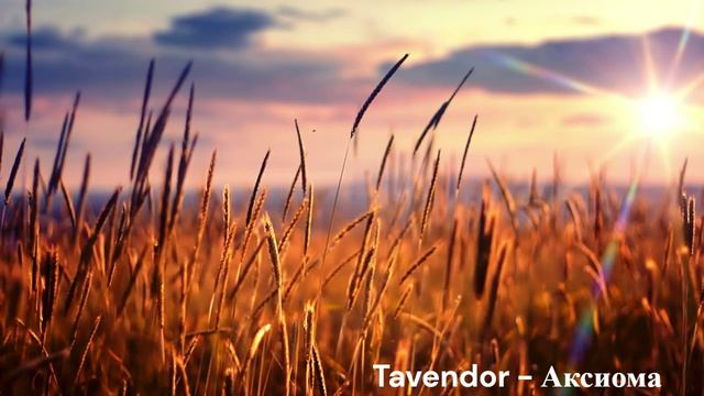 Tavendor - Аксиома. СПОКОЙНЫЙ ДИП ХАУС ДЛЯ ОТДЫХА. (Deep House)