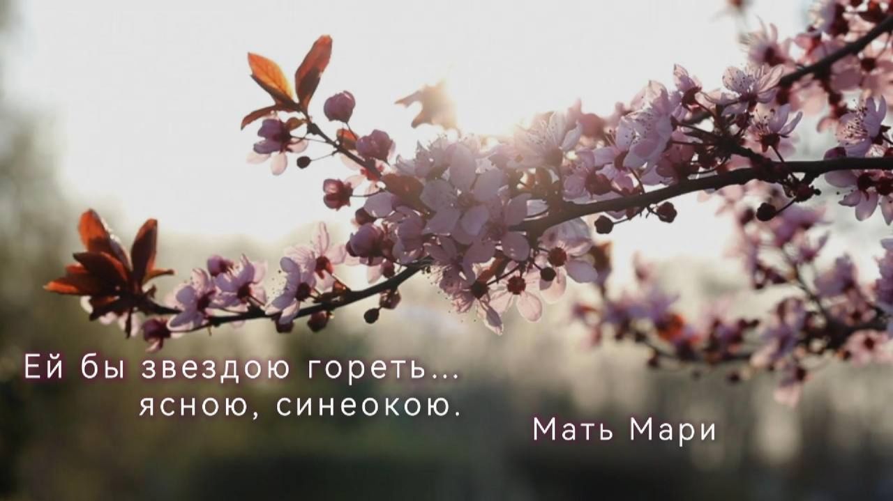Ей бы звездою гореть… ясною, синеокою. Мать Мари.