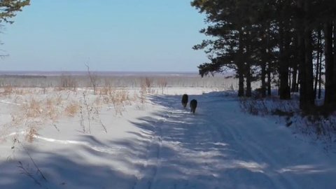 Саратово 2022