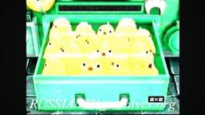 (фейк)RAH:Фрагмент эфира 2x2