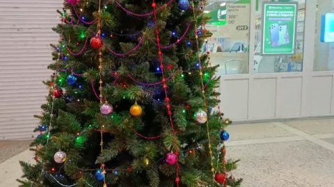 #новогодняя красота в нашем городе в магазине пяткрочка