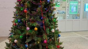 #новогодняя красота в нашем городе в магазине пяткрочка