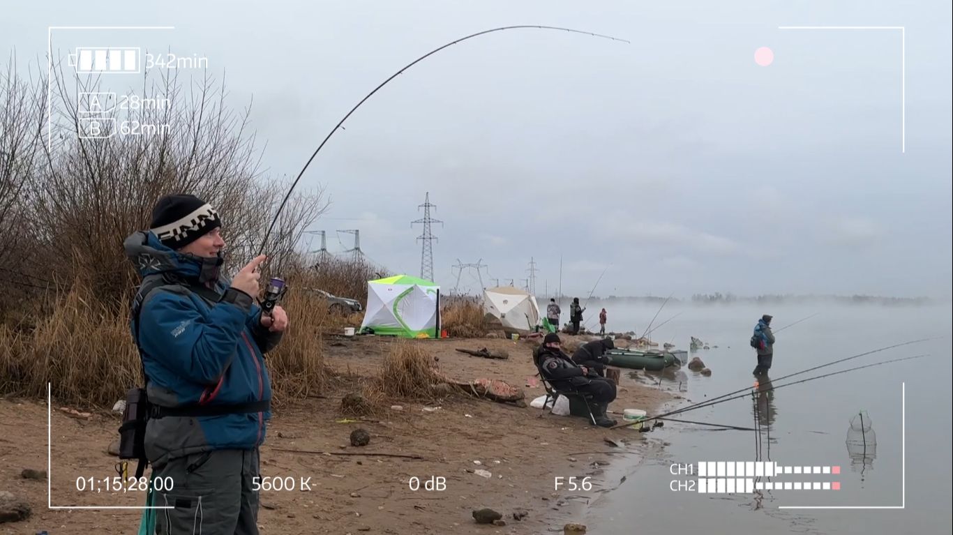 Тилапия. Откуда они лезут? Где у них гнездо?