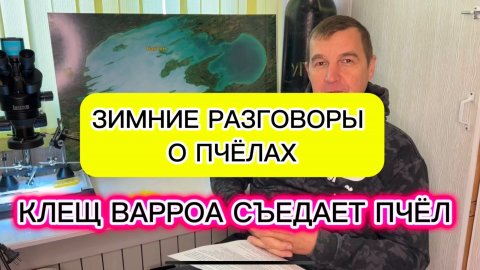 Клещ Варроа съедает пчёл‼️ Зимние разговоры о пчёлах